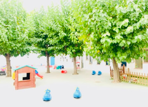 Patio exterior de la guardería con árboles y juegos